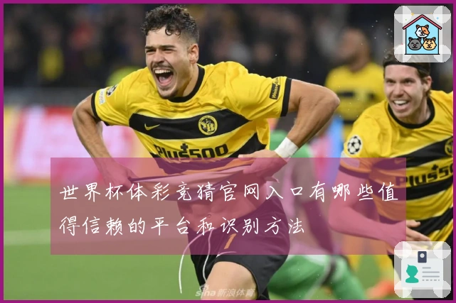世界杯体彩竞猜官网入口有哪些值得信赖的平台和识别方法